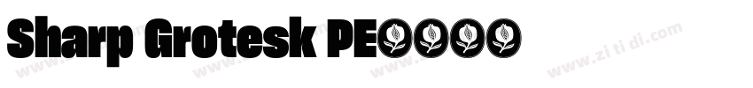 Sharp Grotesk PE字体转换
